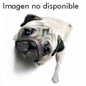 Calendario Agility RSCE 2020