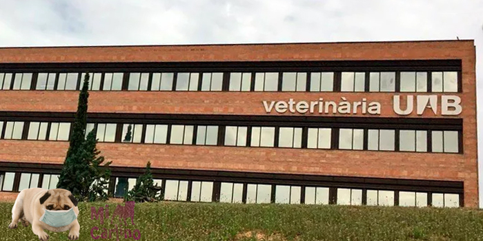 Facultades de veterinaria
