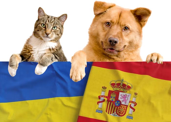 Cambios en el protocolo para introducir animales de compañía en España desde Ucrania