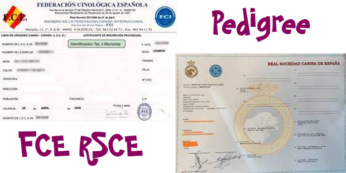 Tipos de Pedigree - Modificar