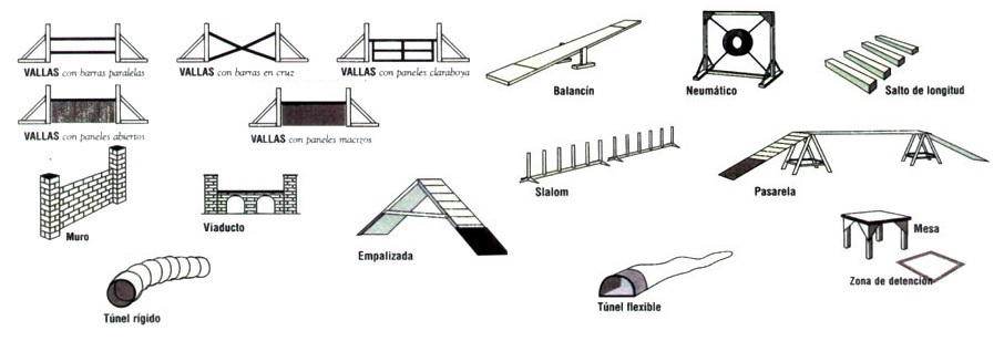 Obstáculos de agility