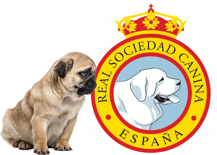 Real Sociedad Canina de España (RSCE)