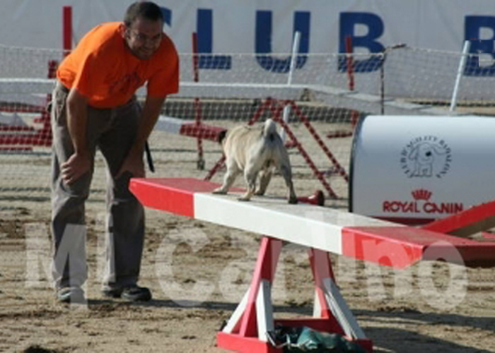 Balancín agility