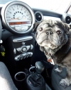 Viajar en coche