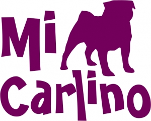 5000 fans en el FaceBook de Mi Carlino