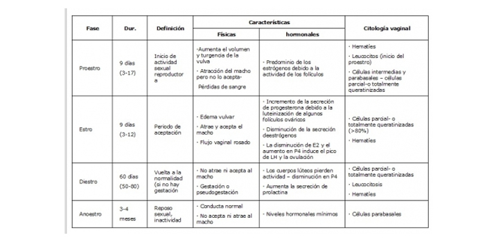 Ciclo Estral de la Perra