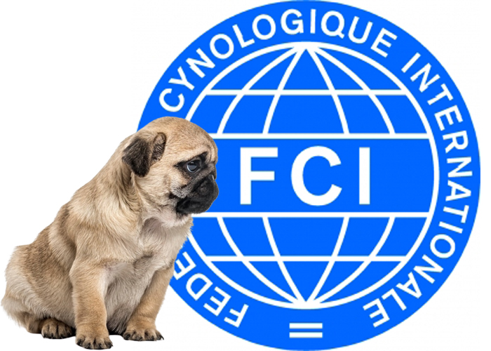 Federación Cinológica Internacional (FCI)
