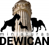 Entrevista Miniaturas Dewican