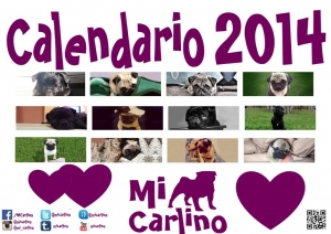 Calendario Mi Carlino 2014