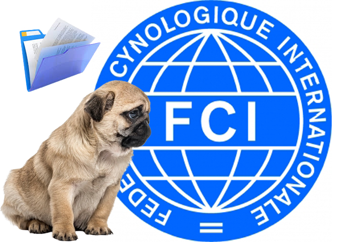 Circular FCI Títulos de CAC 2013