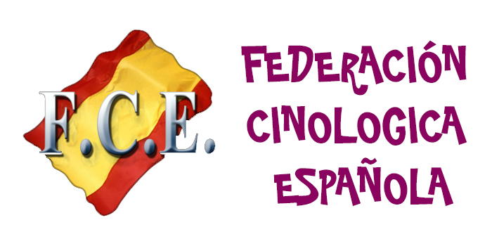 Comunicado FCE