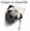 Alicante. XXXI Exposición Internacional y LII Exposición Nacional Caninas